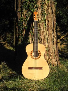 Guitar Dartington 21Jan2014 020