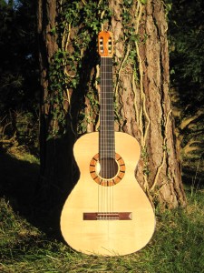 Guitar Dartington 21Jan2014 021