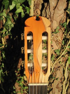 Guitar Dartington 21Jan2014 022