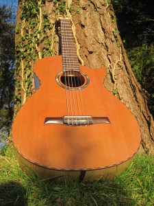 Guitar Dartington 21Jan2014 038