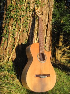 Guitar Dartington 21Jan2014 039