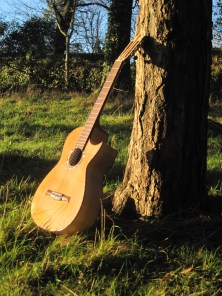 Guitar Dartington 21Jan2014 052