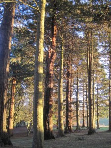 Guitar Dartington 21Jan2014 063