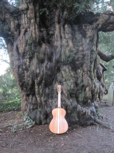 Guitar Dartington 21Jan2014 065