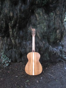 Guitar Dartington 21Jan2014 066