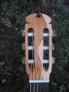 Guitar Dartington 21Jan2014 072