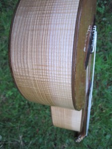 Guitar Dartington 21Jan2014 085