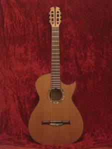 red velvet guitars 23Jan14 037